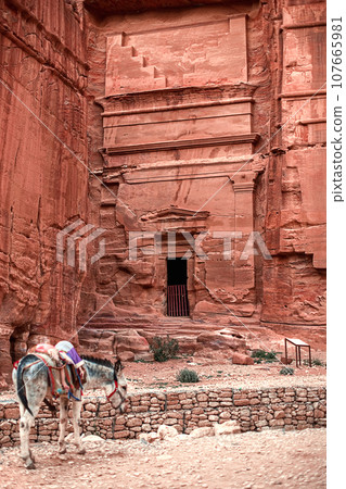 View of the Temples carved into the sandstone rock in the gorge. Petra, Jordan. View of the Temples carved into the sandstone rock in the gorge. Petra, Jordan. 107665981