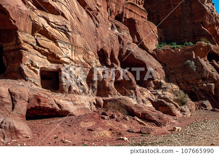 View of the Temples and caves carved into the sandstone rock in the gorge. Petra, Jordan 107665990