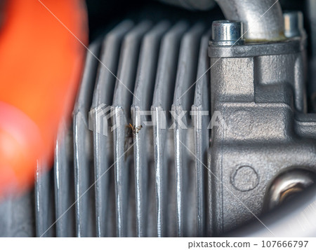 Detail of sport airplane on airport during exhibition day 107666797