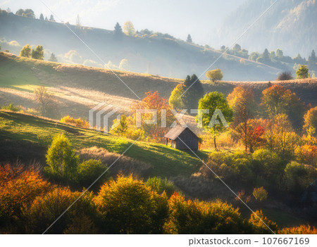 Carpathian mountain valley with house and trees in autumn 107667169