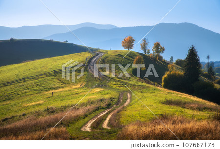 Mountain valley with hills in haze, orange trees at sunset 107667173