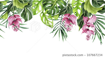 watercolor drawing. horizontal border with tropical leaves and flowers. banner with green palm leaves, monstera 107667234
