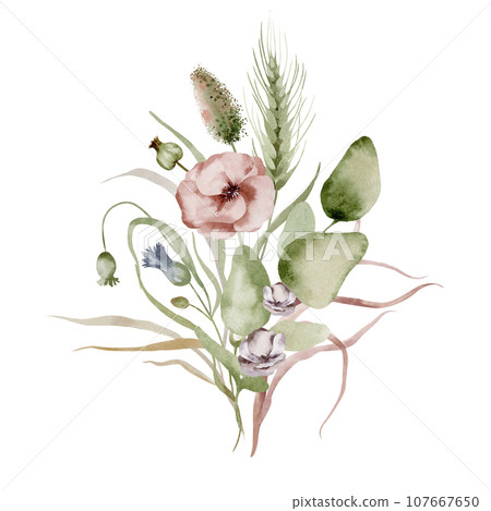 Wildflowers watercolor bouquet. Illustration set of floral bouquet of dried flowers on a white background drawn by hand. Wildflowers watercolor bouquet. Illustration set of floral bouquet of dried flowers on a white background drawn by hand. 107667650