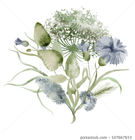 Wildflowers watercolor bouquet. Illustration set of floral bouquet of dried flowers on a white background drawn by hand. 107667653