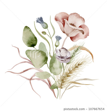 Wildflowers watercolor bouquet. Illustration set of floral bouquet of dried flowers on a white background drawn by hand. 107667654