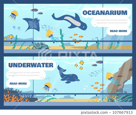 Oceanarium, marine flora and fauna, underwater and sea animals fish variety, vector design for landing page and flyers 107667913