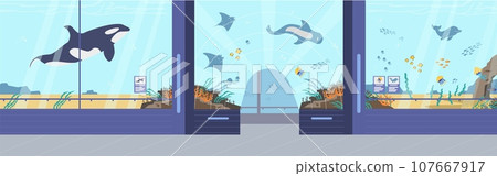 Oceanarium, marine flora and fauna vector illustration, underwater and sea animals variety, cartoon ocean fishes 107667917