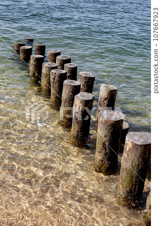 Old wooden foundations for old pontoons 107667923