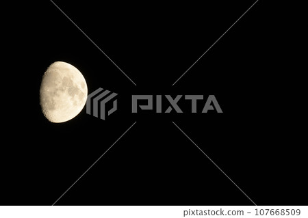 北斗市白州町,九月的月亮,10.1歲,圓潤地掛在夜空中。 北斗市白州町,九月的月亮,10.1歲,圓潤地掛在夜空中。 107668509