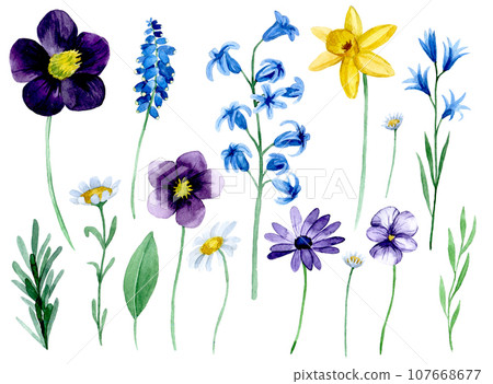watercolor set with wildflowers spring flowers on a dark background. watercolor set with wildflowers spring flowers on a dark background. 107668677
