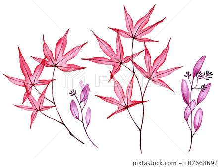 watercolor, aquarelle, foliage 107668692