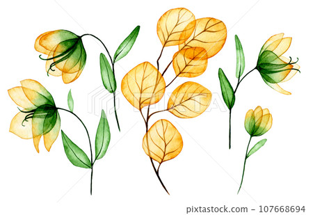 flower, aquarelle, leaf 107668694