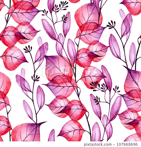 eucalyptus, watercolor, foliage 107668696