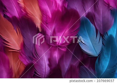 Brightl multi-colored feathers Brightl multi-colored feathers 107669037