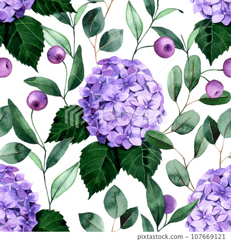 hydrangea, flower, watercolor 107669121