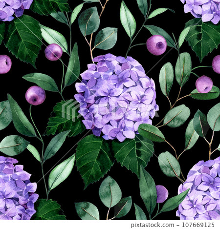 flower, hydrangea, watercolor 107669125