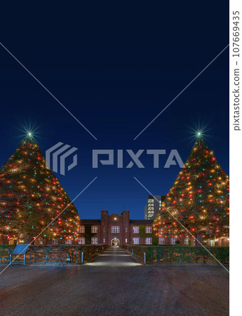 [東京池袋]立教大學的夜景裝飾著巨大的聖誕樹。 107669435