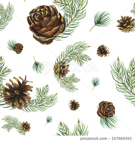 Watercolour seamless pattern of watercolour pine cone and fir tree branches hand drawn illustration isolated on white Watercolour seamless pattern of watercolour pine cone and fir tree branches hand drawn illustration isolated on white 107669565