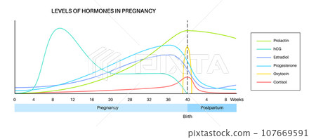 Hormones in pregnancy Hormones in pregnancy 107669591