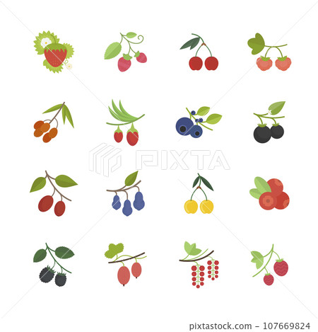 Set Vector Flat Icons of Berries. 107669824