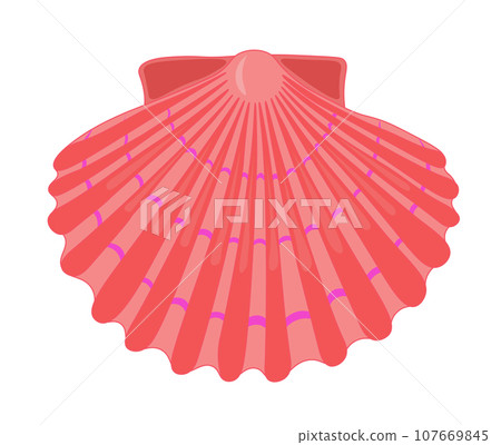 Vector cartoon illustration of colorful seashells on white background. 107669845