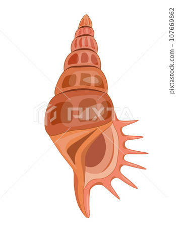 Vector cartoon illustration of colorful seashells on white background. Vector cartoon illustration of colorful seashells on white background. 107669862