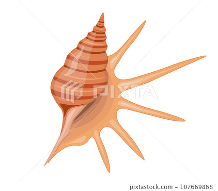 Vector cartoon illustration of colorful seashells on white background. 107669868