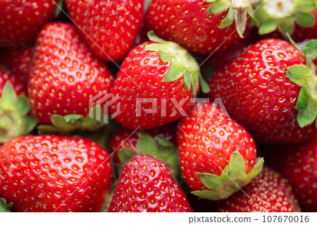 Strawberry background. Freshly picked ripe strawberries. Fruit background, Fresh organic berries 107670016