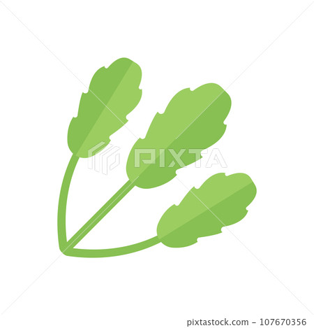 Watercress Illustration Watercress Illustration 107670356