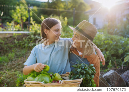 Grandmother with granddaughter with crate full of vegetables. Concept of importance of grandparents - grandchild relationship. Intergenerational gardening. 107670873