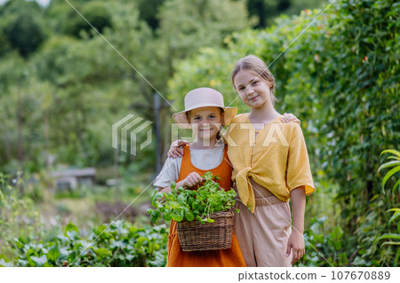 Little sisters in an autumn garden. The young girls looking at each other,holding a basket full of harvested vegetable and herbs. 107670889