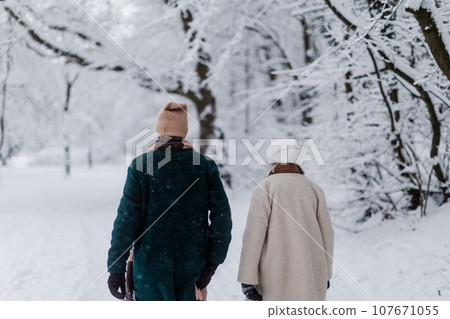 Rear view of elegant senior couple walking in the snowy park, during cold winter snowy day. Wintry landscape. 107671055