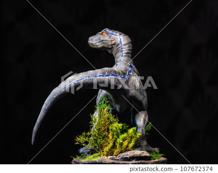 Velociraptor Dinosaur in the dark Velociraptor Dinosaur in the dark 107672374