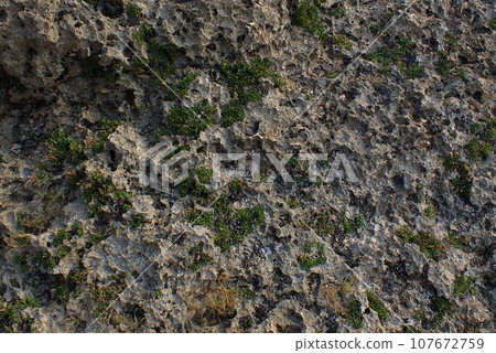 沖繩宮古島的琉球石灰岩地形 沖繩宮古島的琉球石灰岩地形 107672759