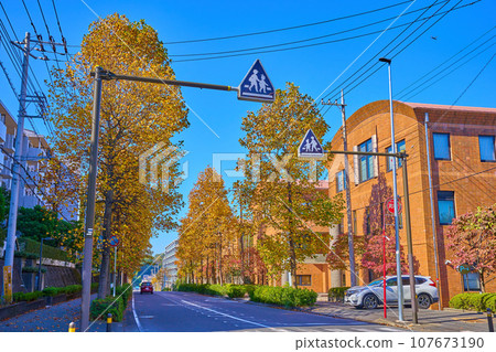 秋季從神奈川縣川崎市淺生區上蘇4-20號左右向西（上蘇4-28號等）眺望 107673190
