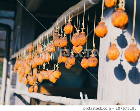 Dried persimmon 107673193