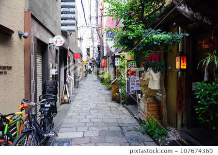 Scenery of Hozenji Yokocho Scenery of Hozenji Yokocho 107674360
