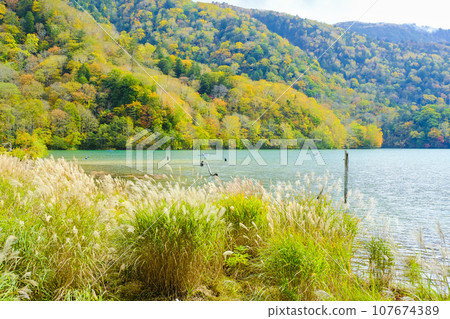 秋葉的Marunuma 107674389