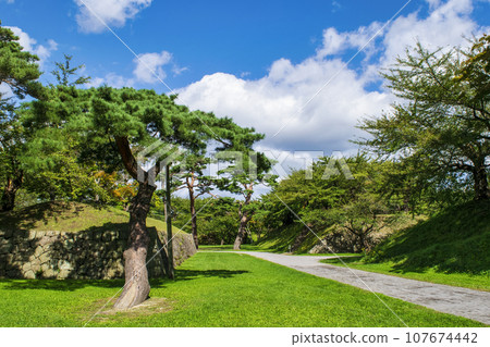 函館市 函館五陵郭庭園風景 函館市 函館五陵郭庭園風景 107674442