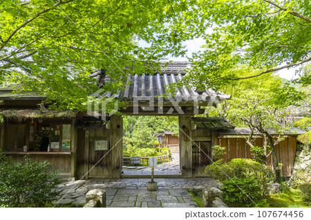Hosen-in temple gate and fresh greenery (Ohara, Sakyo Ward, Kyoto City) Hosen-in temple gate and fresh greenery (Ohara, Sakyo Ward, Kyoto City) 107674456