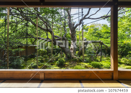 Hosenin Bankanen Picture Frame Garden (Ohara, Sakyo Ward, Kyoto City) 107674459