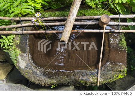 Hosenin Tsurukame Garden Tsukubai Chozubachi (Ohara, Sakyo Ward, Kyoto City) Hosenin Tsurukame Garden Tsukubai Chozubachi (Ohara, Sakyo Ward, Kyoto City) 107674460