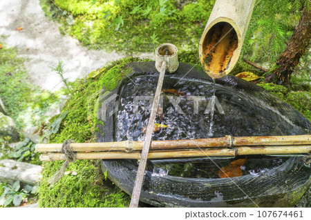 寶仙院鶴樂園築梅長缽（京都市左京區大原） 107674461