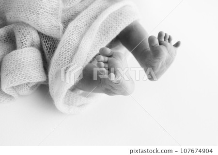 The tiny foot of a newborn baby. Soft feet of a new born in a wool blanket. Close up of toes, heels and feet of a newborn. Macro photography. Black and white The tiny foot of a newborn baby. Soft feet of a new born in a wool blanket. Close up of toes, heels and feet of a newborn. Macro photography. Black and white 107674904