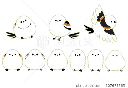 Illustration of striped long-tailed moth in various poses 107675365