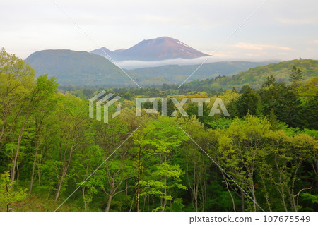 淺間山新綠 107675549