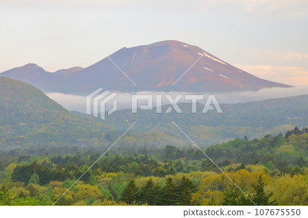 淺間山新綠 107675550