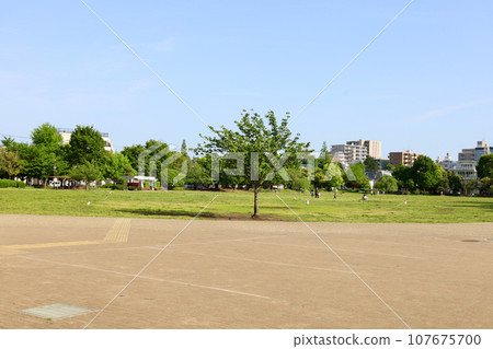 桃井 Harappa 公園陽光明媚的一天 107675700