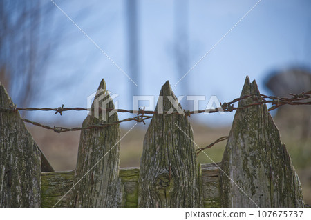 Weathered or aged wooden fence and barbed wire Weathered or aged wooden fence and barbed wire 107675737