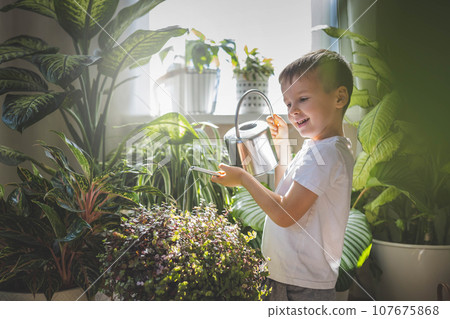 Little cute boy is watering indoor plants from a stylish watering can in a designer white home interior. The child helps around the house. Little cute boy is watering indoor plants from a stylish watering can in a designer white home interior. The child helps around the house. 107675868